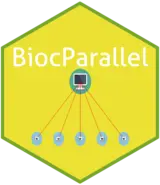 The Bioconductor 'BiocParallel' image
